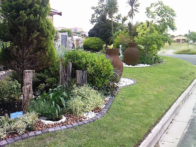 August Garden Tips for Cape Town Gardens