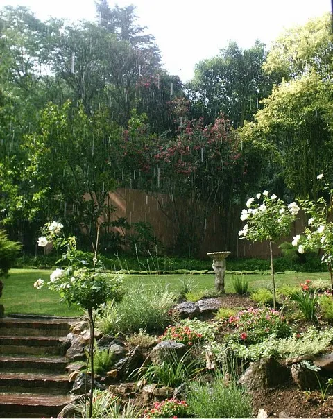 Landscaping services Cape Town
