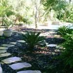 Landscaping in Cape Town